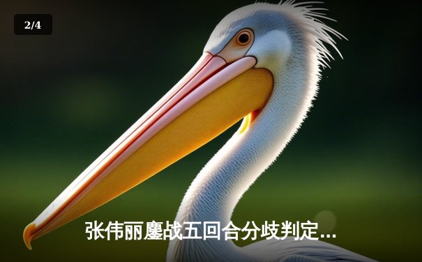 张伟丽鏖战五回合分歧判定卫冕 罗斯争议失利赛后泪洒八角笼 - 2